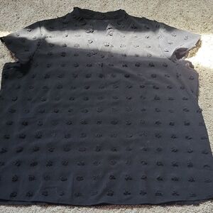 Sheer Black Textured Blouse